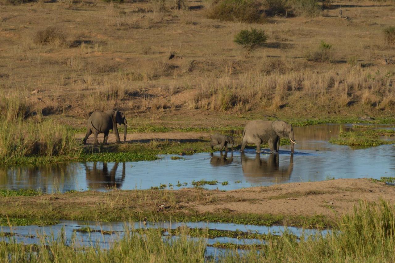 Buckler'S Africa Lodge Kruger Park Komatipoort Exterior foto